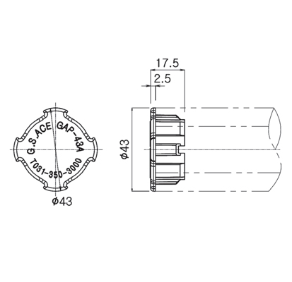 GAP-43A