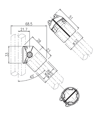 A-013L, A-013R